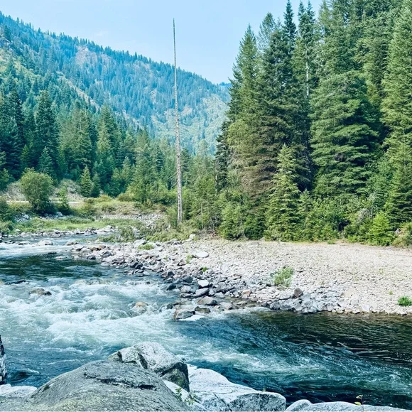 … - Picture 1 of 16